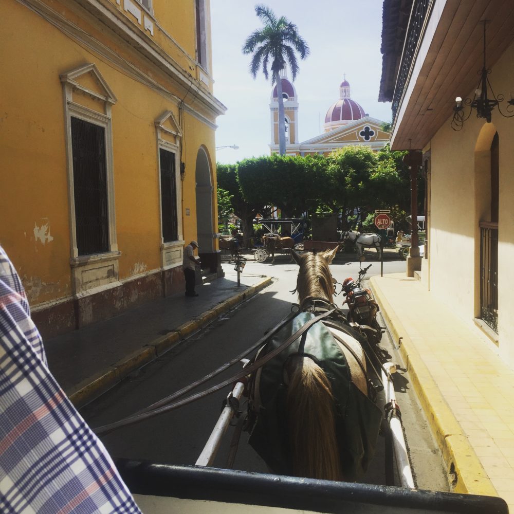 carriage ride
